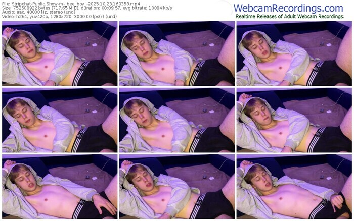 stripchat-_bee_boy_-10-23-2025-16-03-58