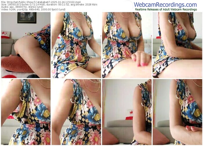 stripchat-catababa67-10-24-2025-11-53-22