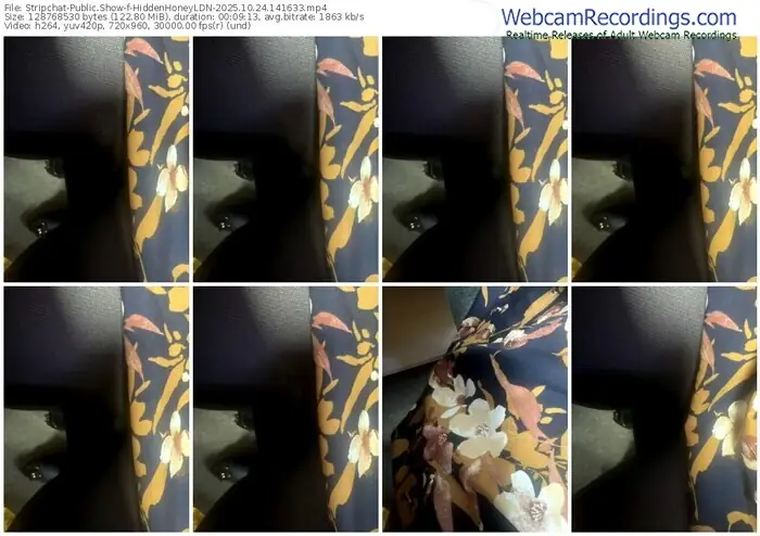stripchat-hiddenhoneyldn-10-24-2025-14-16-33