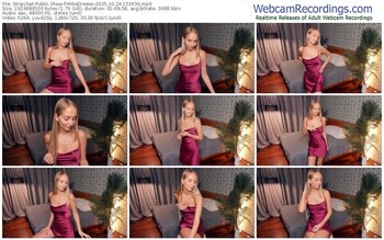 stripchat-mikedreese-10-24-2025-15-39-36