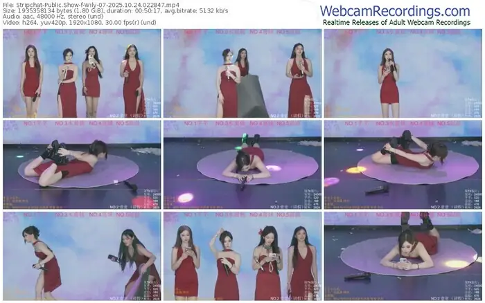 stripchat-wily-07-10-24-2025-02-28-47
