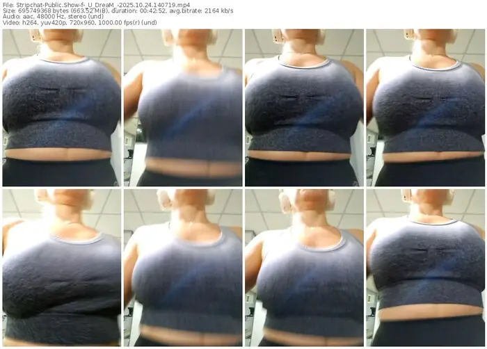 stripchat-_u_dream_-10-24-2025-14-07-19