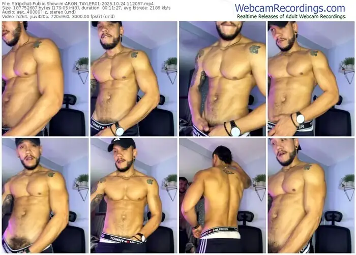 stripchat-aron_tayler01-10-24-2025-11-20-57