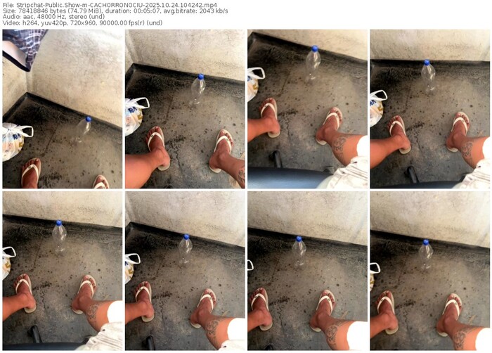 stripchat-cachorronociu-10-24-2025-10-42-42