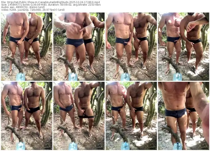 stripchat-casadolutadorbigstuds-10-24-2025-17-28-19