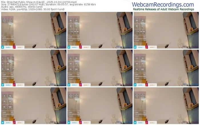 stripchat-davidc_-10-24-2025-12-27-00