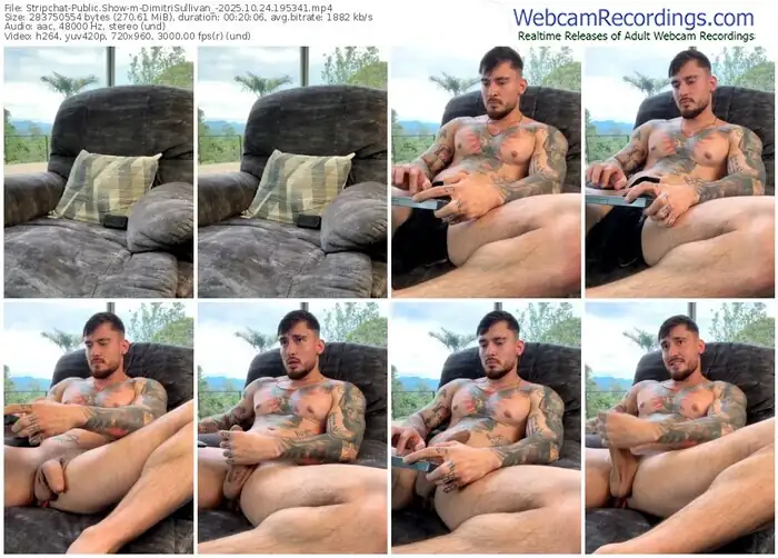 stripchat-dimitrisullivan_-10-24-2025-19-53-41