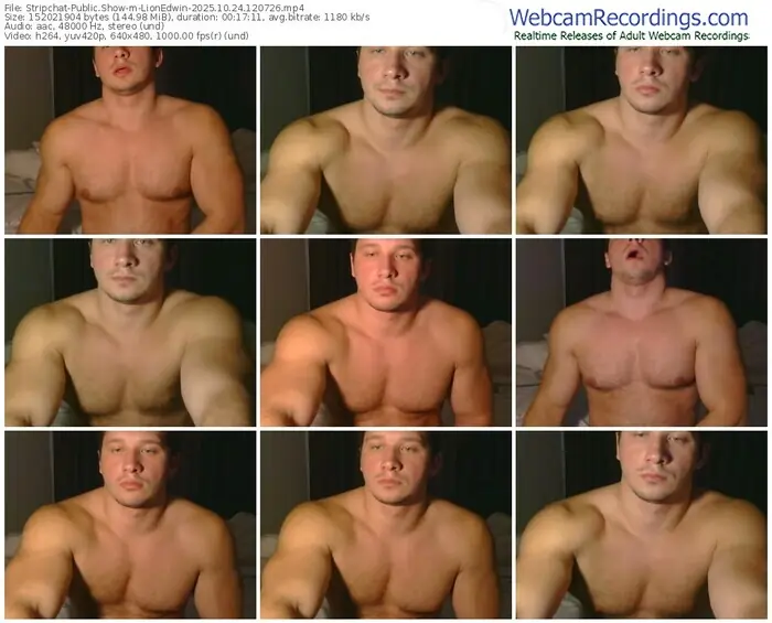 stripchat-lionedwin-10-24-2025-12-07-26