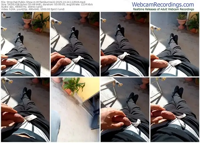 stripchat-mrtamburine22-10-24-2025-12-25-06