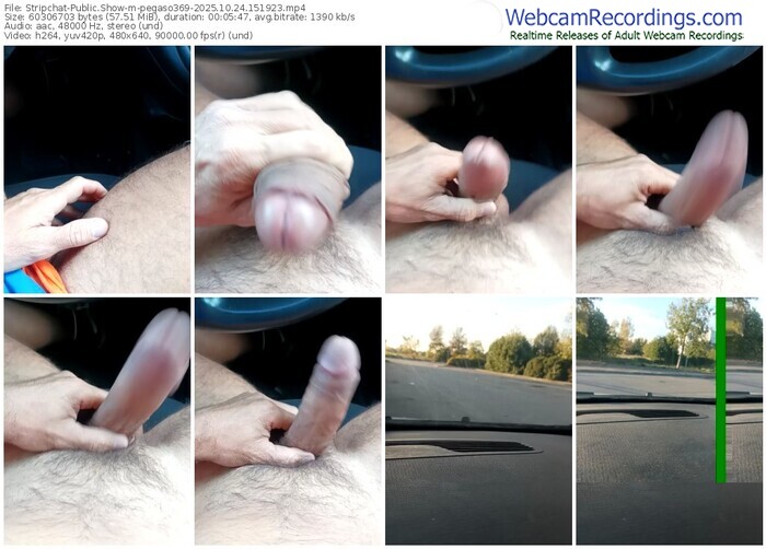 stripchat-pegaso369-10-24-2025-15-19-23