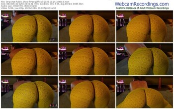 stripchat-pawgofficial-10-25-2025-22-48-16