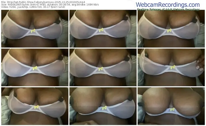 stripchat-ebonybunnyxx-10-25-2025-00-19-05