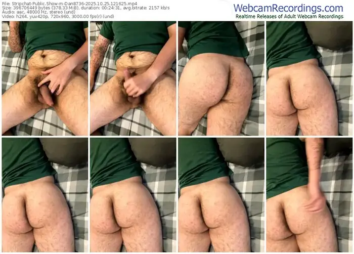 stripchat-dan8736-10-25-2025-12-16-25