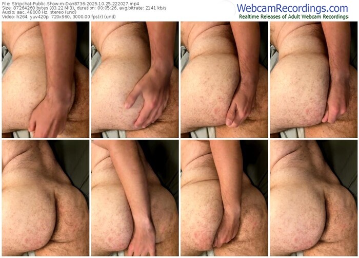 stripchat-dan8736-10-25-2025-22-20-27