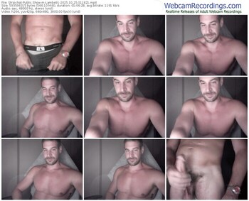 stripchat-lambe91-10-25-2025-01-18-21