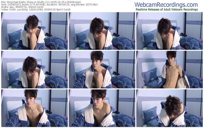 stripchat-stuffy-111-10-25-2025-12-59-08