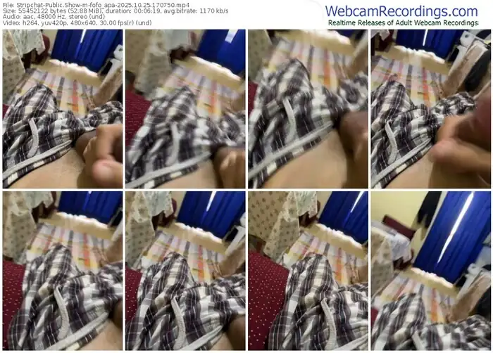 stripchat-fofo_apa-10-25-2025-17-07-50