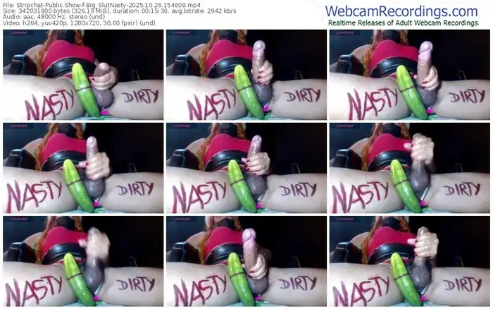 stripchat-big_slutnasty-10-26-2025-15-46-09
