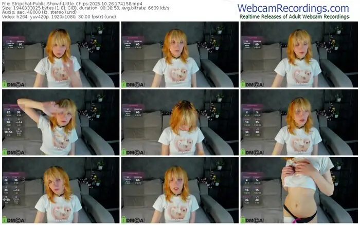 stripchat-little_chips-10-26-2025-17-41-58