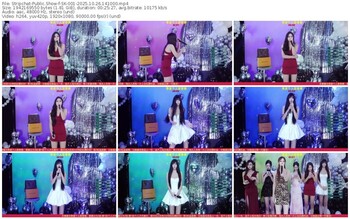 stripchat-sk-001-10-26-2025-14-10-00