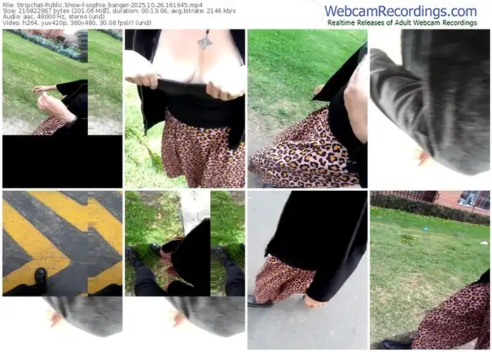 stripchat-sophie_banger-10-26-2025-16-16-45