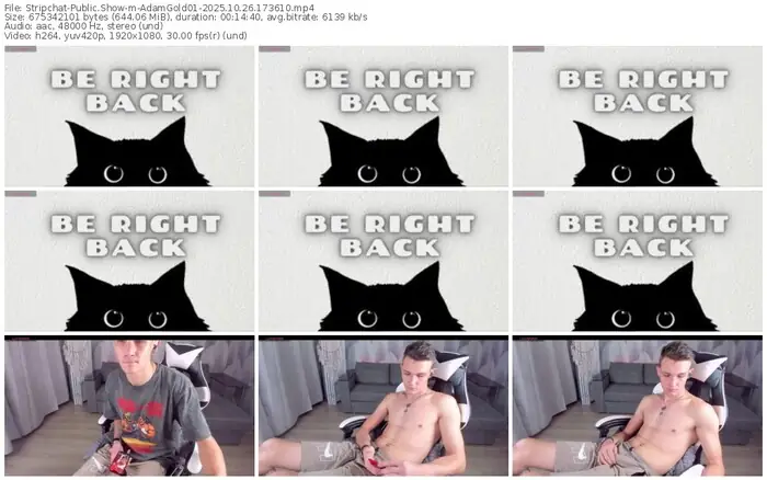 stripchat-adamgold01-10-26-2025-17-36-10