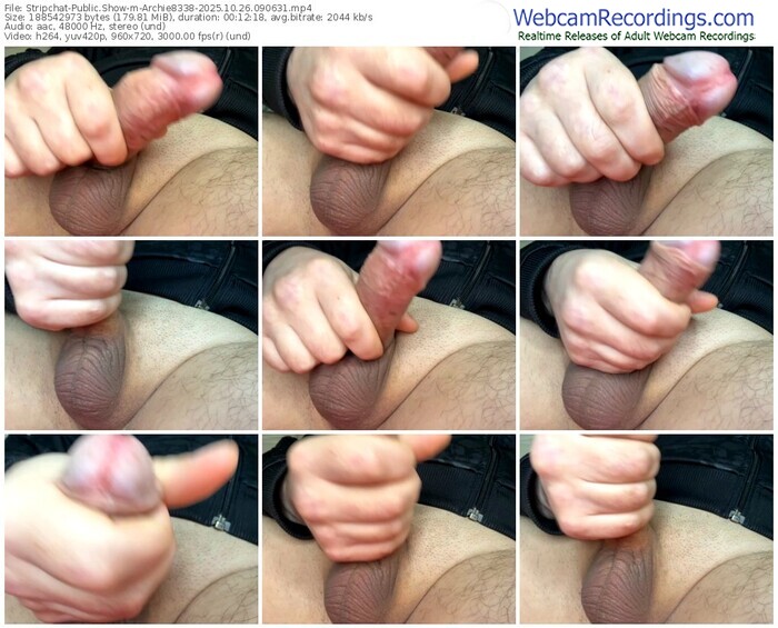 stripchat-archie8338-10-26-2025-09-06-31