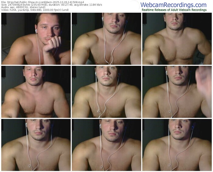 stripchat-lionedwin-10-26-2025-14-15-08