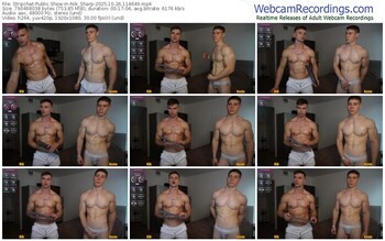 stripchat-nik_sharp-10-26-2025-11-46-49