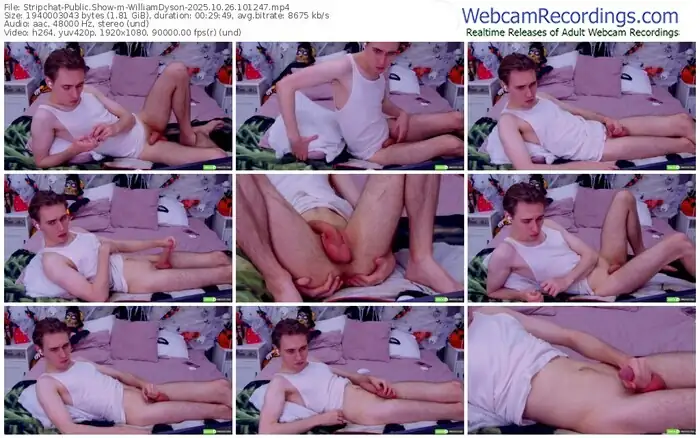 stripchat-williamdyson-10-26-2025-10-12-47