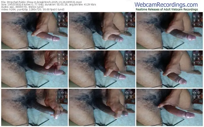 stripchat-break9inch-10-26-2025-06-55-31