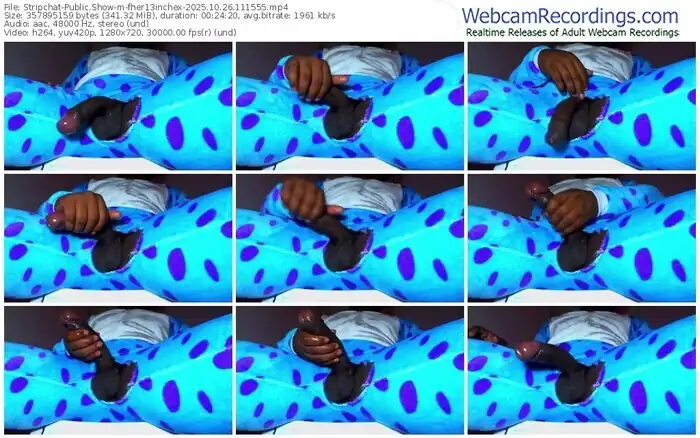 stripchat-fher13inchex-10-26-2025-11-15-55