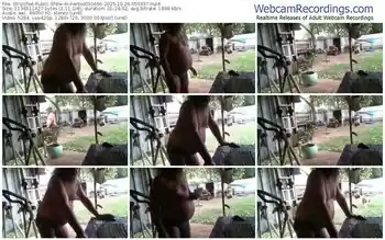 stripchat-herbie010666-10-26-2025-05-59-37