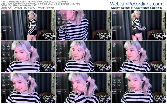 stripchat-elnoravanord-10-27-2025-01-51-39