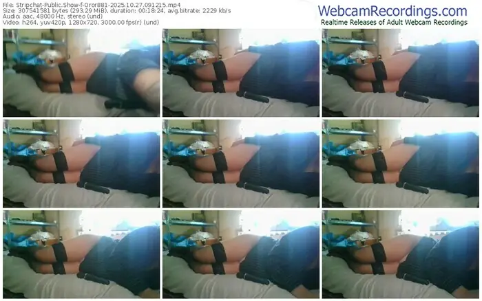 stripchat-oror881-10-27-2025-09-12-15