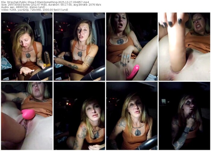 stripchat-sheissomething-10-27-2025-03-48-57