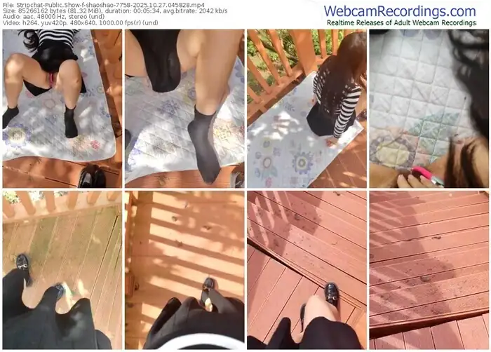 stripchat-shaoshao-7758-10-27-2025-04-58-28