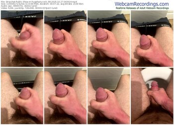 stripchat-hugehairycock_98-10-27-2025-06-39-24