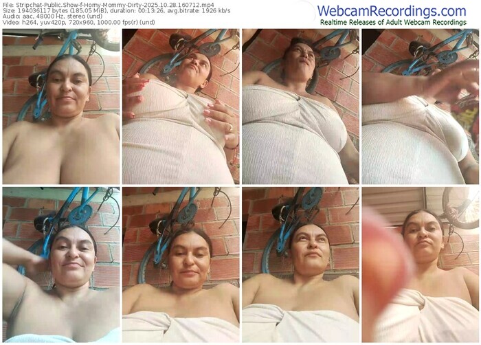 stripchat-horny-mommy-dirty-10-28-2025-16-07-12