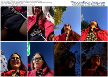 stripchat-natakitten-10-28-2025-15-24-40