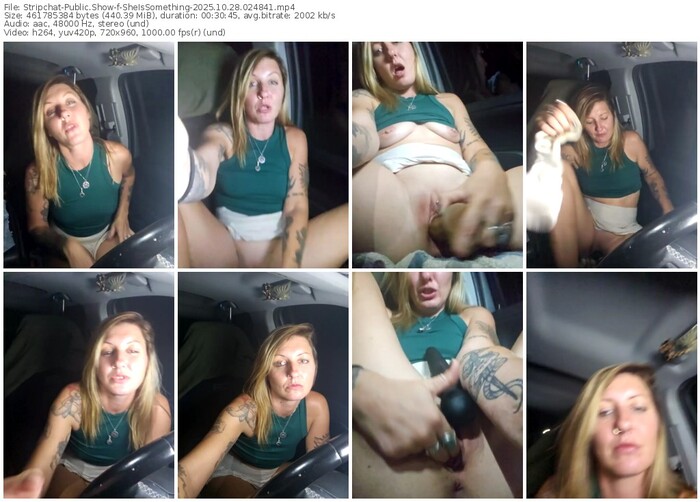 stripchat-sheissomething-10-28-2025-02-48-41