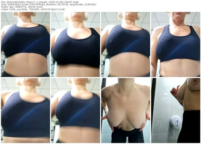 stripchat-_u_dream_-10-28-2025-13-04-27