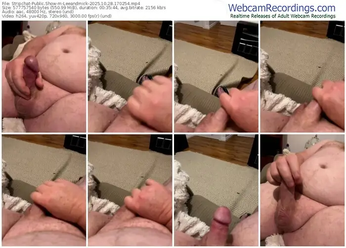 stripchat-leeandmick-10-28-2025-17-02-54