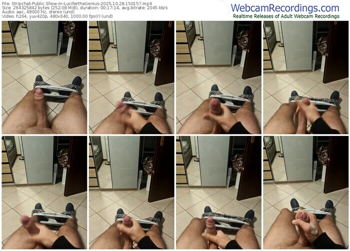 stripchat-luciferthegenius-10-28-2025-15-01-57