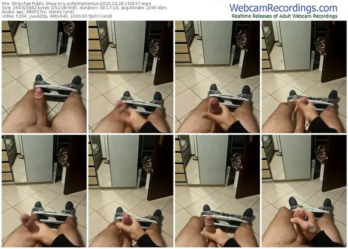 stripchat-luciferthegenius-10-28-2025-15-01-57