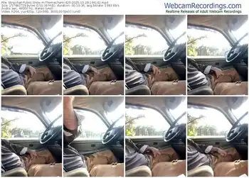 stripchat-themechanic420-10-28-2025-14-41-42