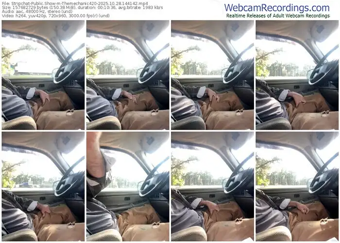 stripchat-themechanic420-10-28-2025-14-41-42