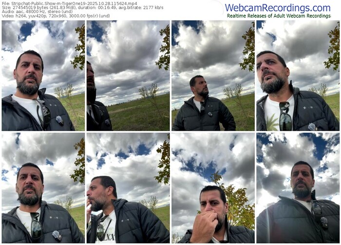 stripchat-tigerone19-10-28-2025-11-56-24