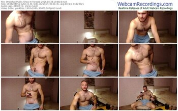 stripchat-toress1-10-28-2025-19-46-18