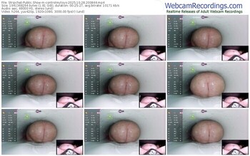 stripchat-controlmytoys-10-28-2025-20-08-44